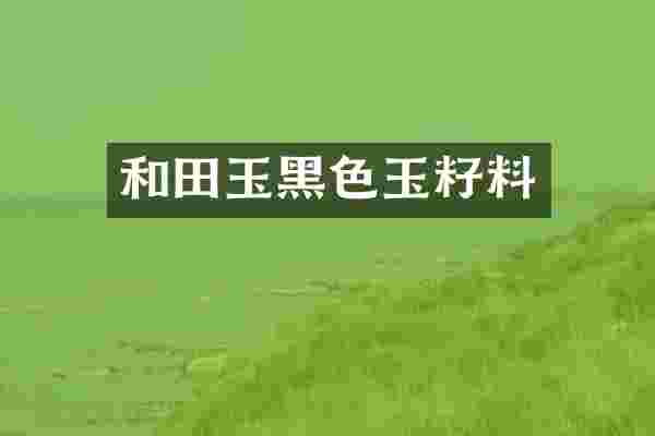 和田玉黑色玉籽料