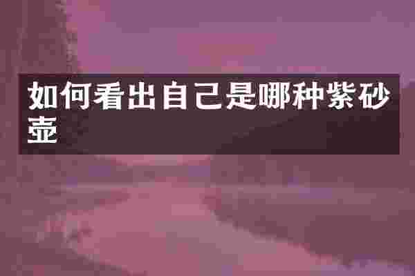 如何看出自己是哪种紫砂壶