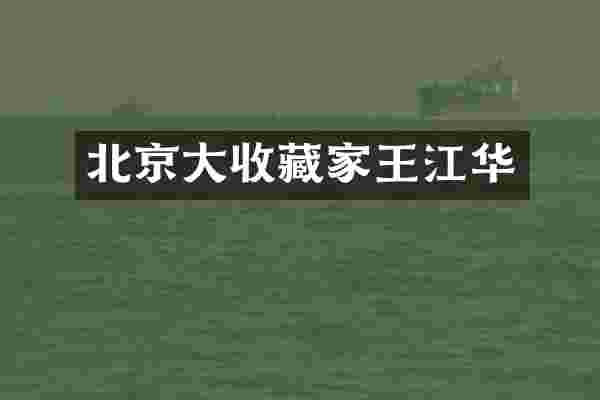 北京大收藏家王江华