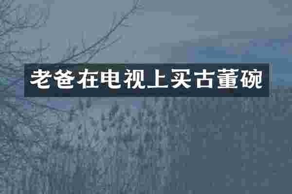 老爸在电视上买古董碗