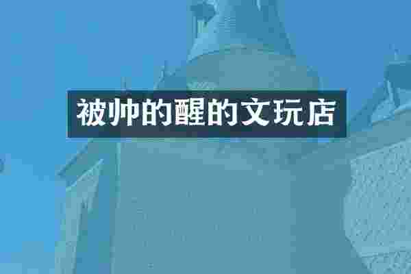 被帅的醒的文玩店
