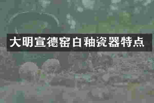 大明宣德窑白釉瓷器特点
