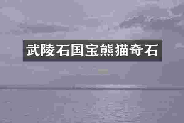 武陵石国宝熊猫奇石