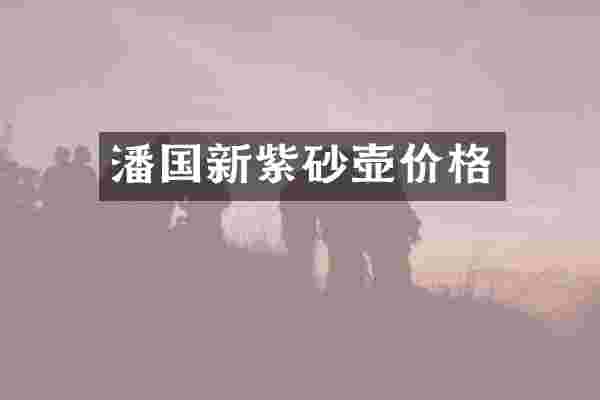 潘国新紫砂壶价格