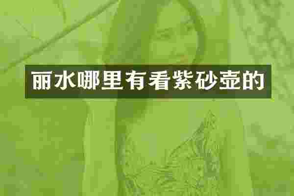 丽水哪里有看紫砂壶的