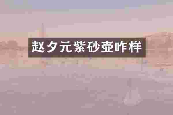 赵夕元紫砂壶咋样