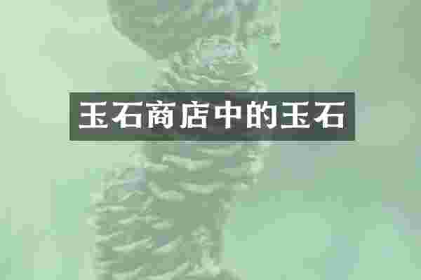 玉石商店中的玉石