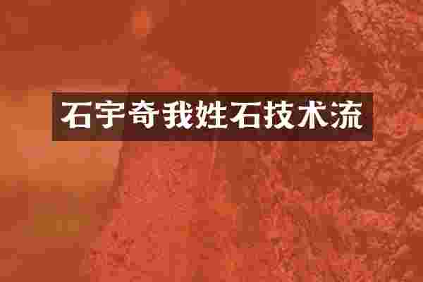 石宇奇我姓石技术流