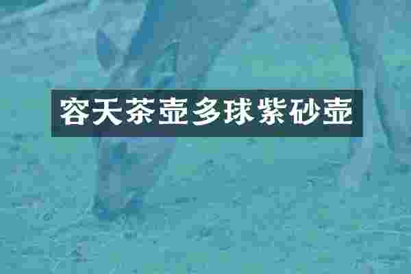 容天茶壶多球紫砂壶