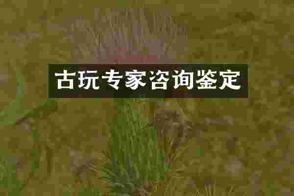 古玩专家咨询鉴定