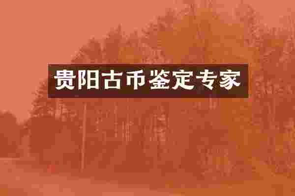 贵阳古币鉴定专家