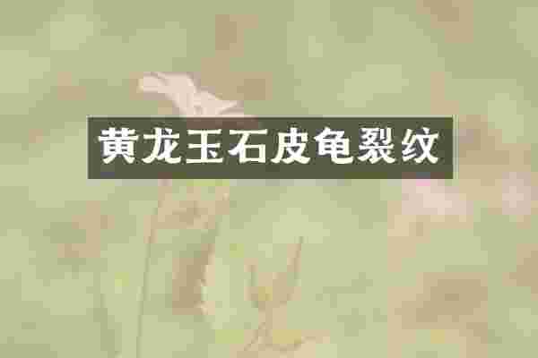 黄龙玉石皮龟裂纹