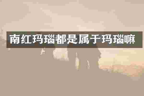 南红玛瑙都是属于玛瑙嘛