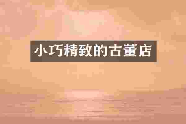 小巧精致的古董店