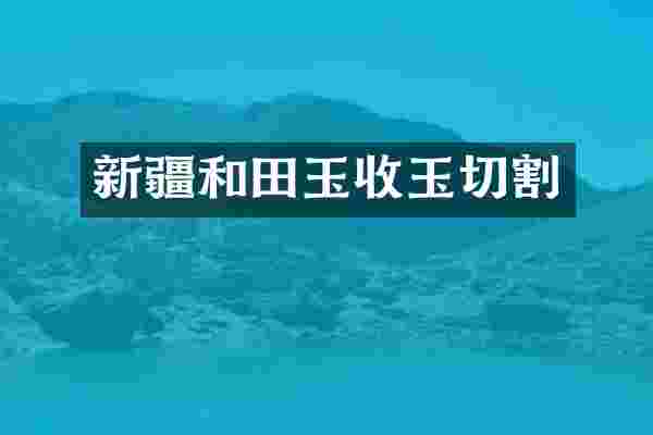 新疆和田玉收玉切割