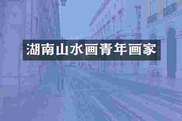 湖南山水画青年画家