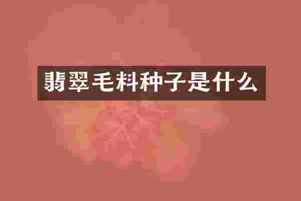 翡翠毛料种子是什么