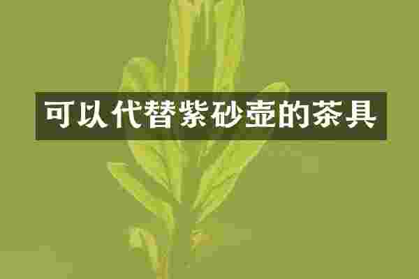 可以代替紫砂壶的茶具