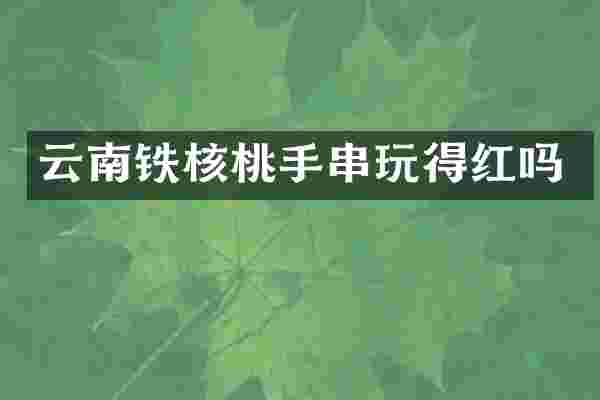 云南铁核桃手串玩得红吗