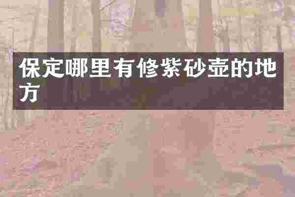 保定哪里有修紫砂壶的地方