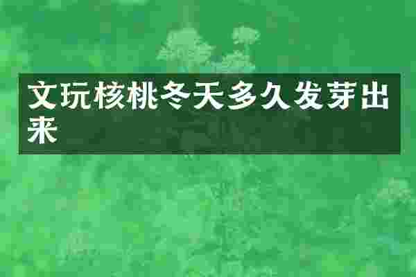 文玩核桃冬天多久发芽出来