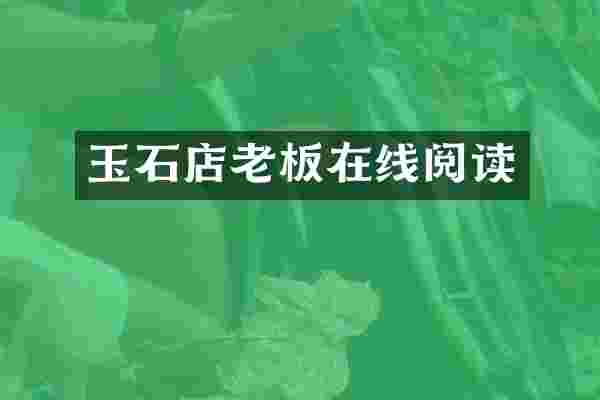 玉石店老板在线阅读