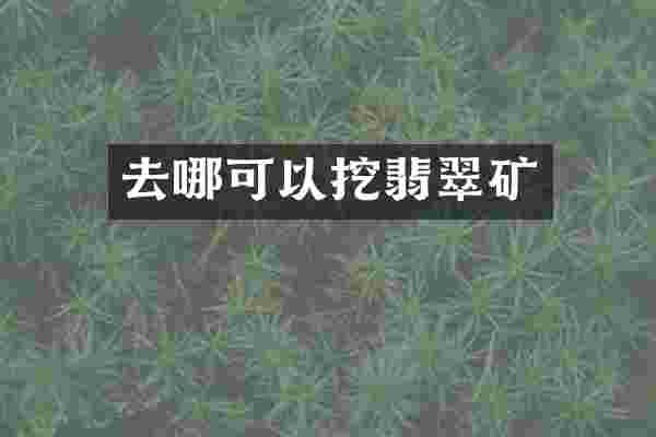 去哪可以挖翡翠矿