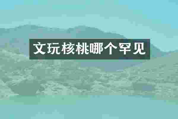文玩核桃哪个罕见