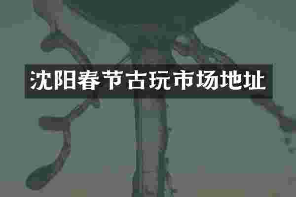 沈阳春节古玩市场地址