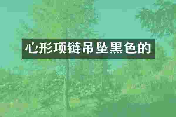 心形项链吊坠黑色的