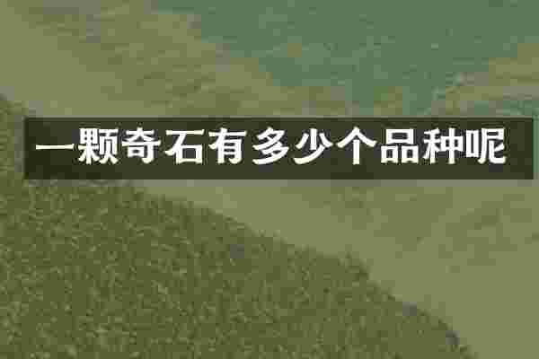 一颗奇石有多少个品种呢
