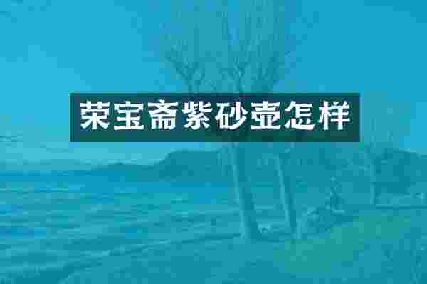 荣宝斋紫砂壶怎样