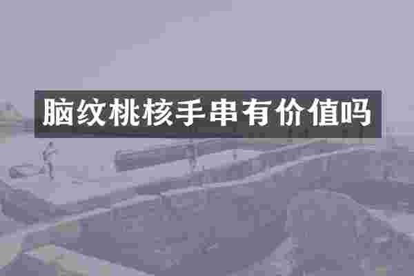 脑纹桃核手串有价值吗