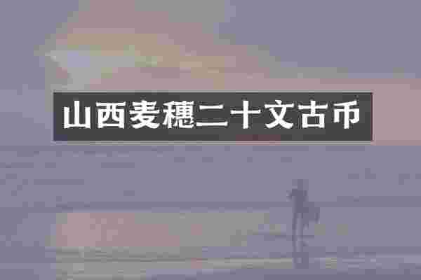 山西麦穗二十文古币