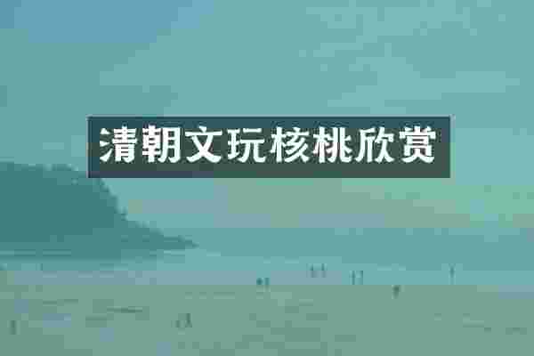 清朝文玩核桃欣赏