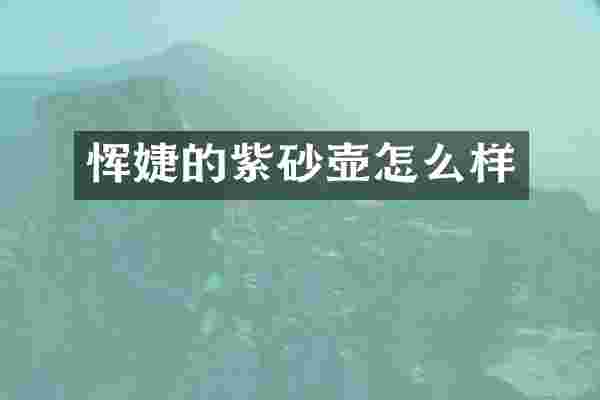 恽婕的紫砂壶怎么样