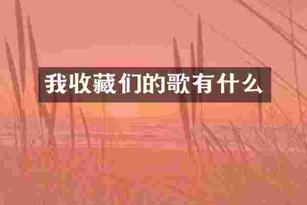 我收藏们的歌有什么
