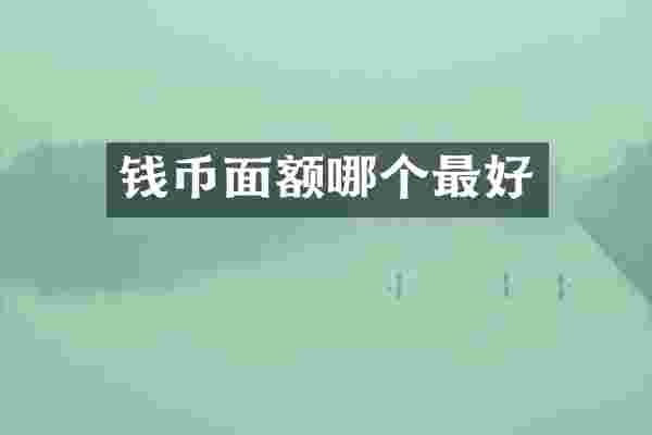 钱币面额哪个最好