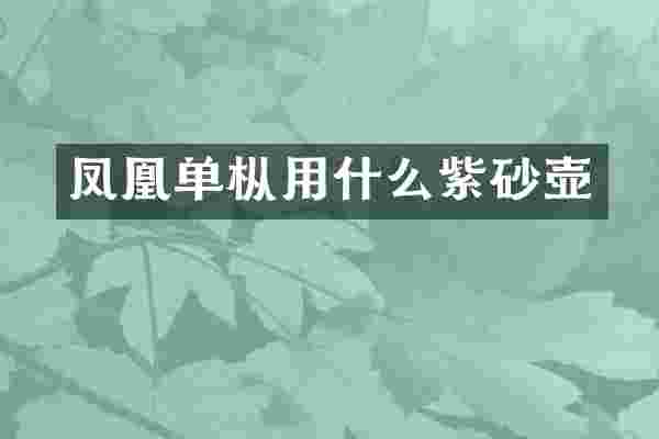 凤凰单枞用什么紫砂壶
