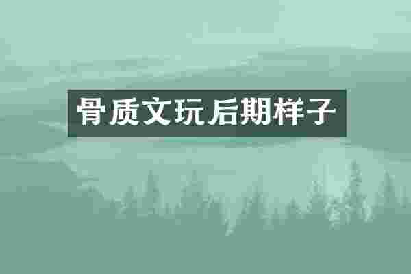 骨质文玩后期样子