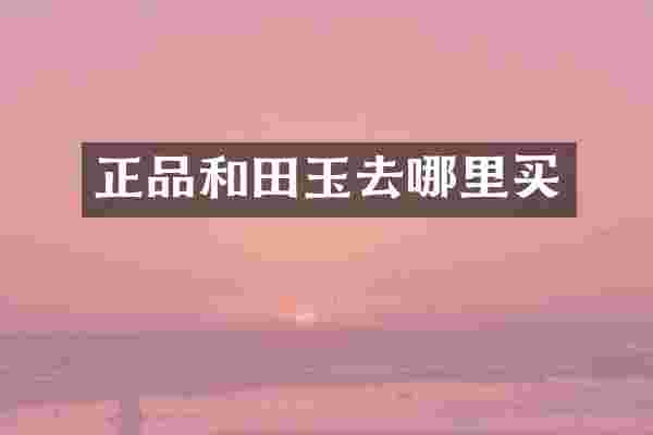 正品和田玉去哪里买