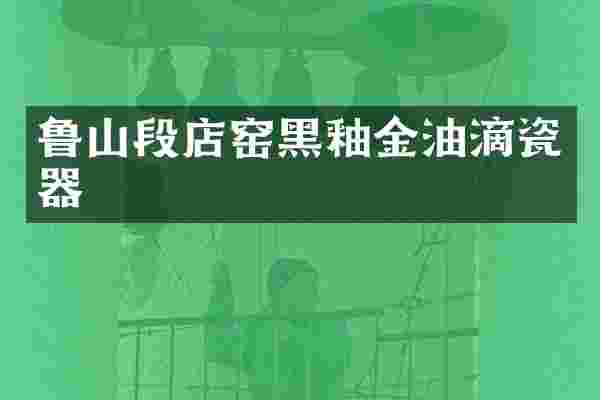 鲁山段店窑黑釉金油滴瓷器