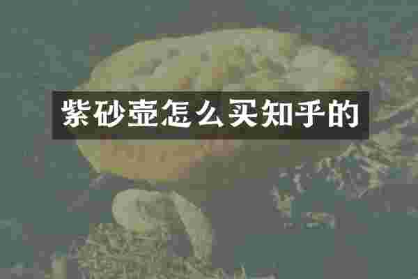 紫砂壶怎么买知乎的