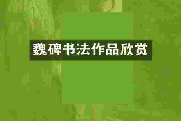 魏碑书法作品欣赏