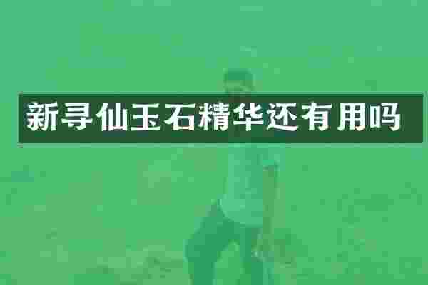 新寻仙玉石精华还有用吗