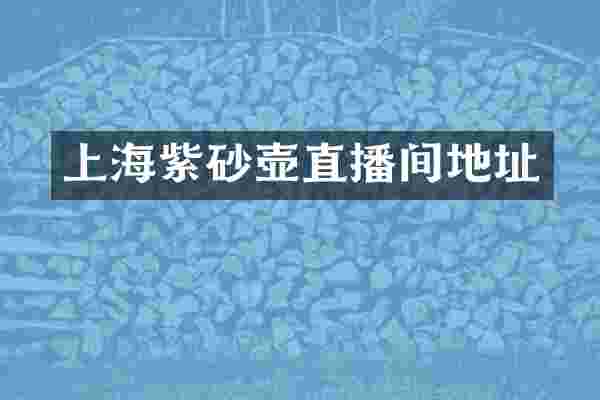 上海紫砂壶直播间地址