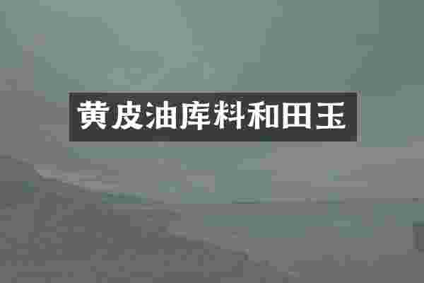 黄皮油库料和田玉