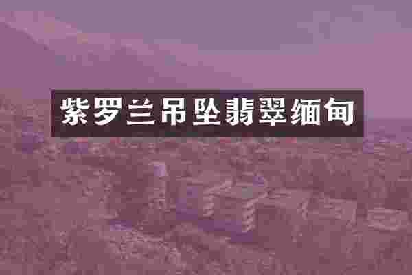 紫罗兰吊坠翡翠缅甸