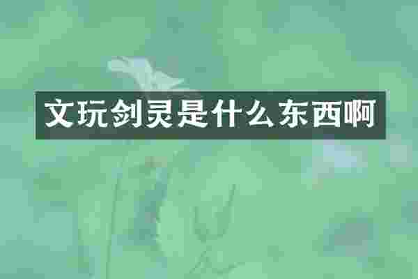 文玩剑灵是什么东西啊