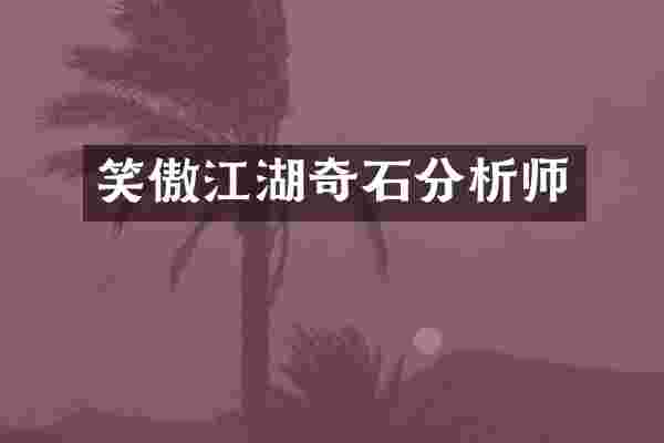 笑傲江湖奇石分析师